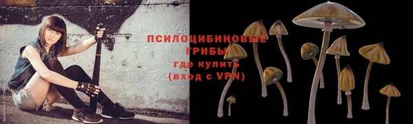первитин Арсеньев