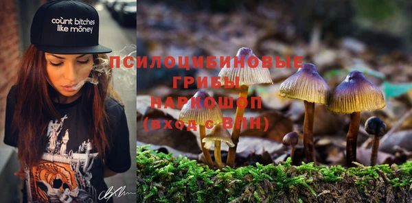 первитин Арсеньев