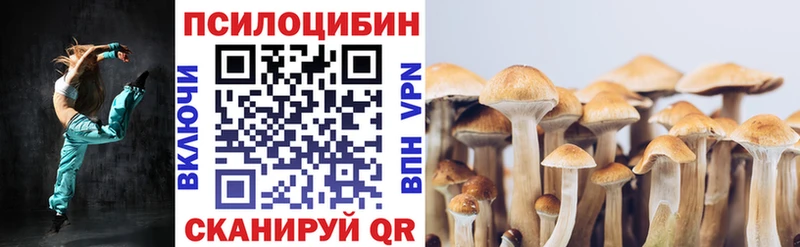 Галлюциногенные грибы мицелий  Купить закладки  Покров 