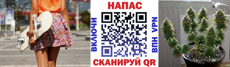 Каннабис Ganja  Купить где  Покров 